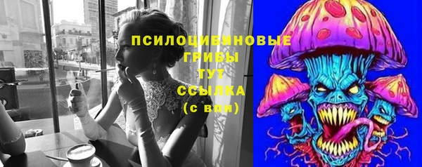 прущие грибы Покачи