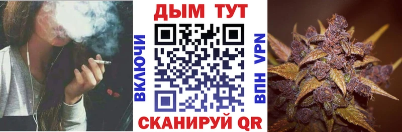 Конопля Bruce Banner  Купить  Мытищи 